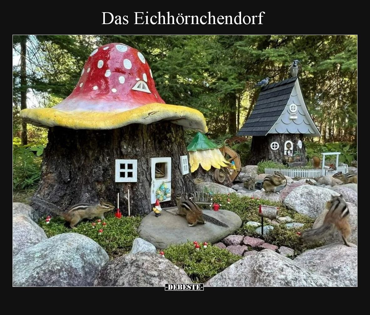 Das Eichhörnchendorf