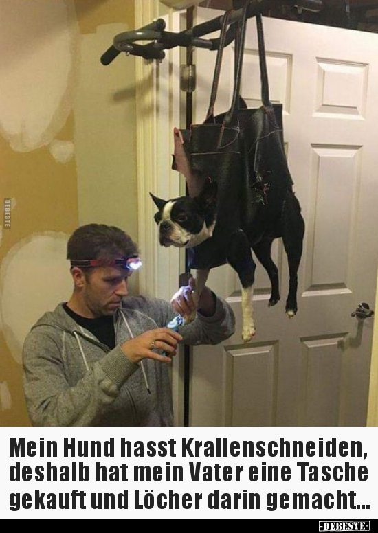 Mein Hund hasst Krallenschneiden, deshalb hat mein Vater.. - Lustige Bilder | DEBESTE.de
