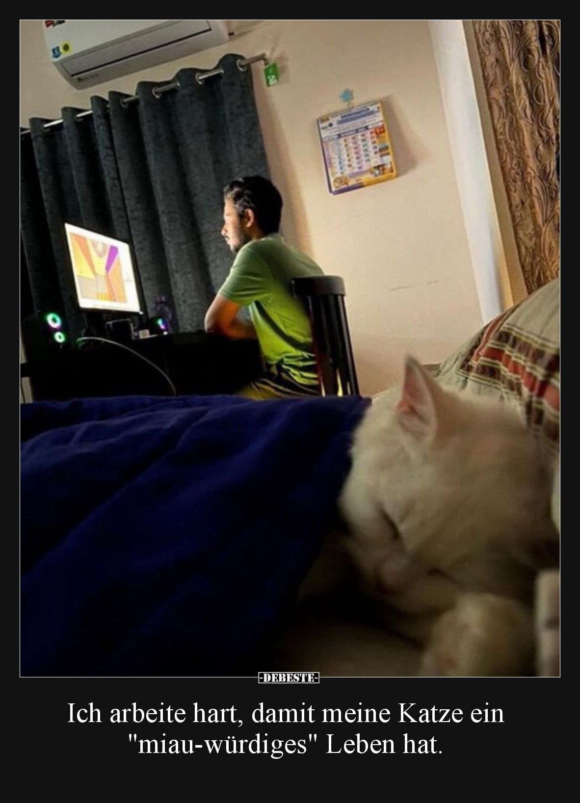 Ich arbeite hart, damit meine Katze ein "miau-würdiges" Leben hat.