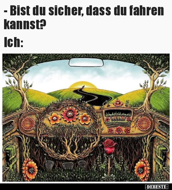 - Bist du sicher, dass du fahren kannst?.. - Lustige Bilder | DEBESTE.de