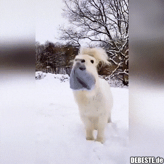  - Lustige Bilder | DEBESTE.de