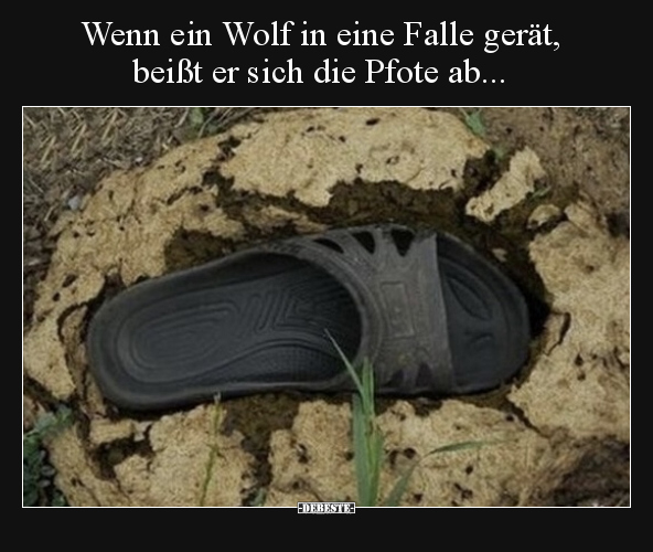 Wenn ein Wolf in eine Falle gerät, beißt er sich die Pfote.. - Lustige Bilder | DEBESTE.de