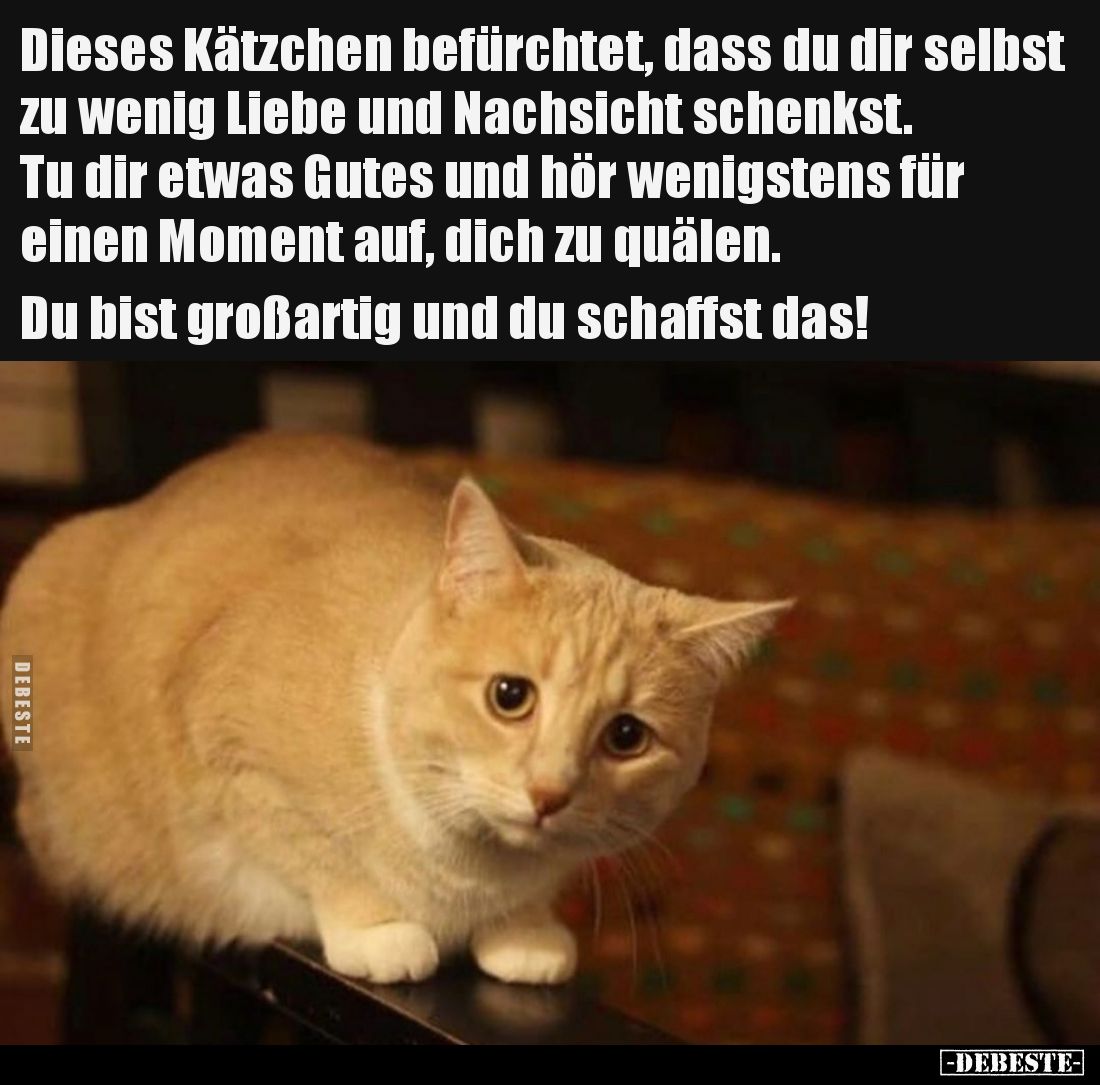 Dieses Kätzchen befürchtet, dass du dir selbst zu wenig Liebe und Nachsicht schenkst. Tu dir etwas Gutes und hör wenigstens f...