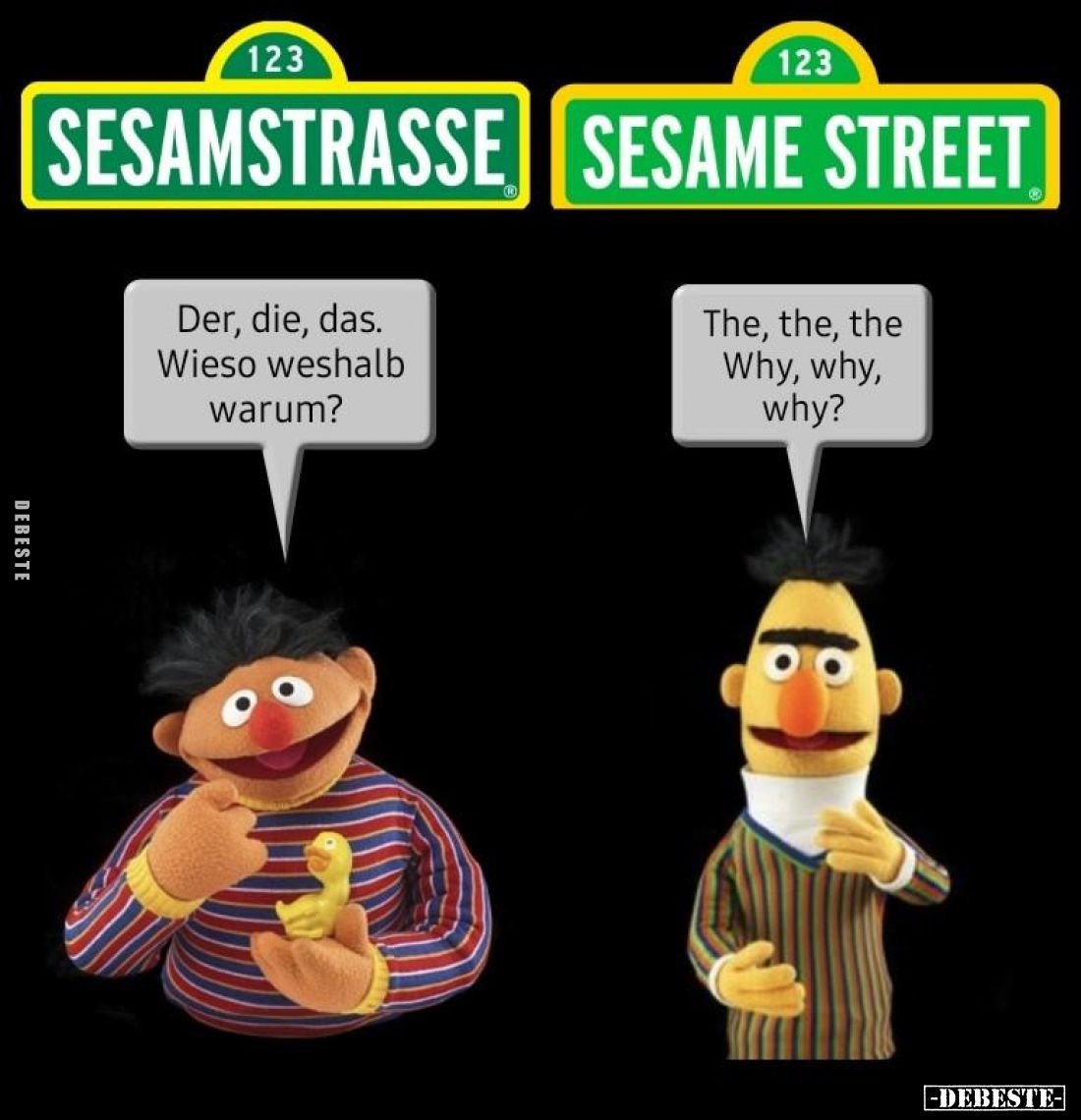 Der, die, das. Wieso weshalb warum?
-
The, the, the Why, why, why?