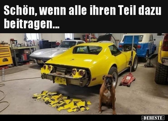 Schön, wenn alle ihren Teil dazu beitragen...