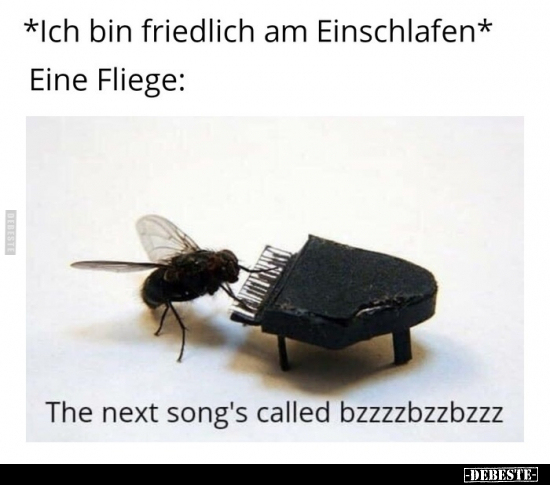 *Ich bin friedlich am Einschlafen* Eine Fliege.. - Lustige Bilder | DEBESTE.de