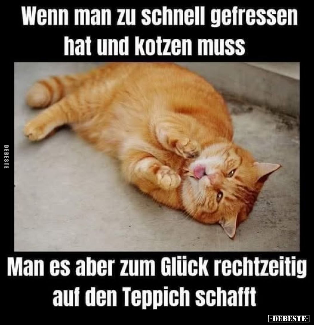 Wenn man zu schnell gefressen hat und kotzen muss
-
Man es aber zum Glück rechtzeitig auf den Teppich schafft