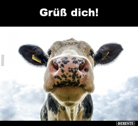 Grüß dich!