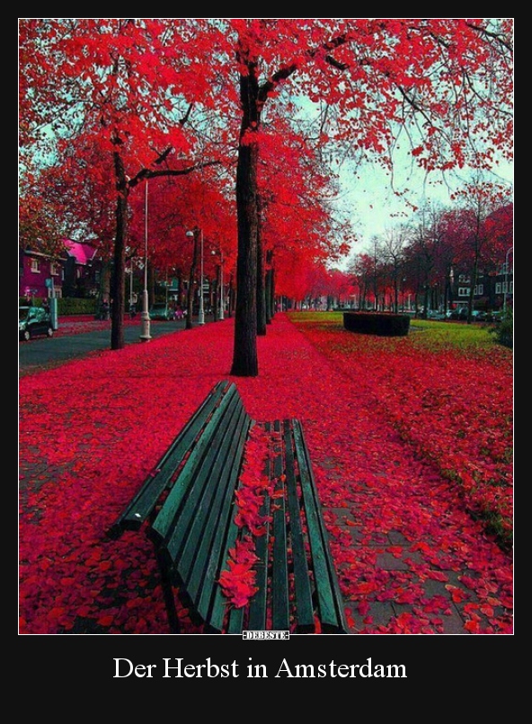 Der Herbst in Amsterdam.. - Lustige Bilder | DEBESTE.de