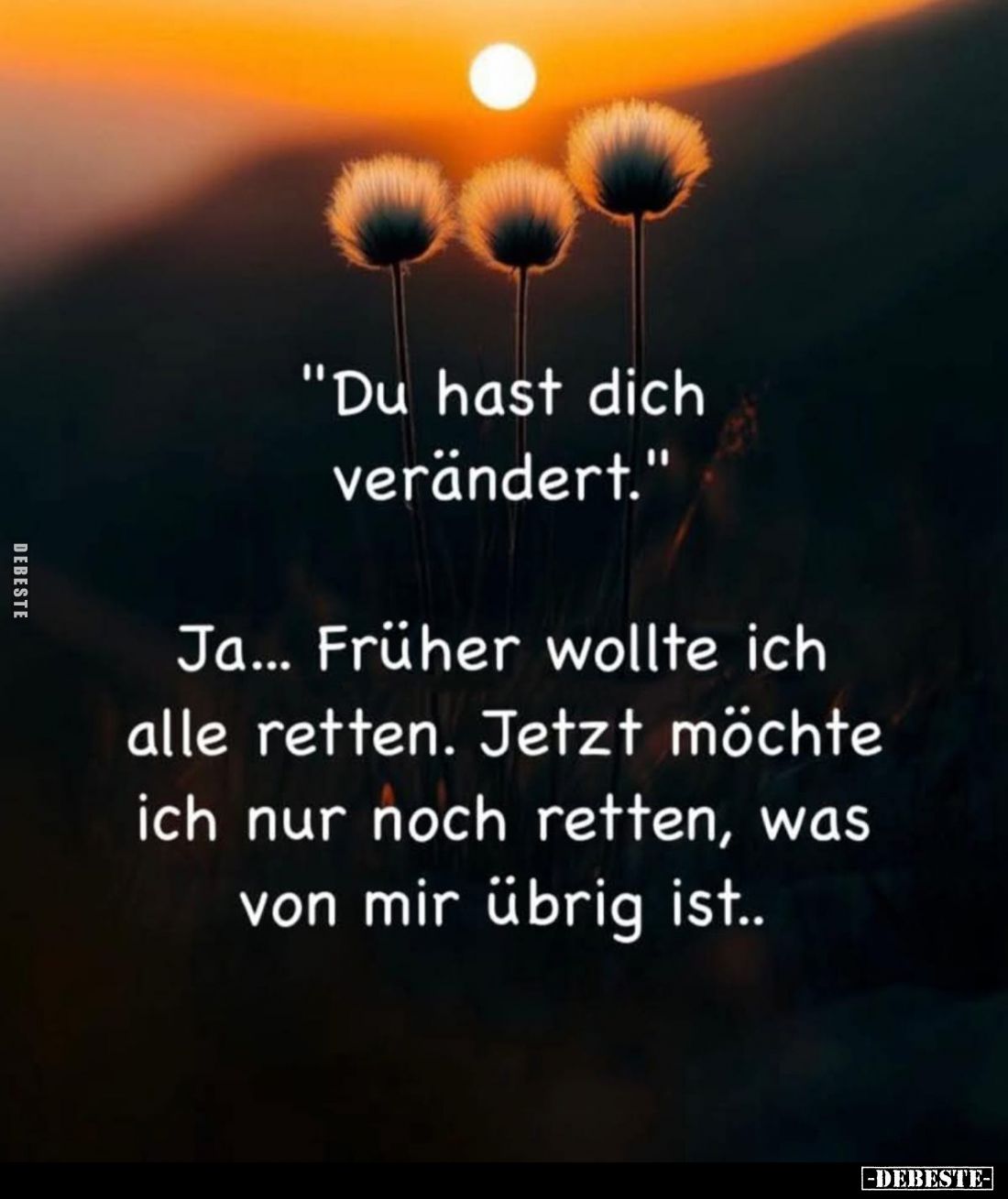 "Du hast dich verändert." -
Ja... Früher wollte ich alle retten. Jetzt möchte ich nur noch retten, was von mir übr...