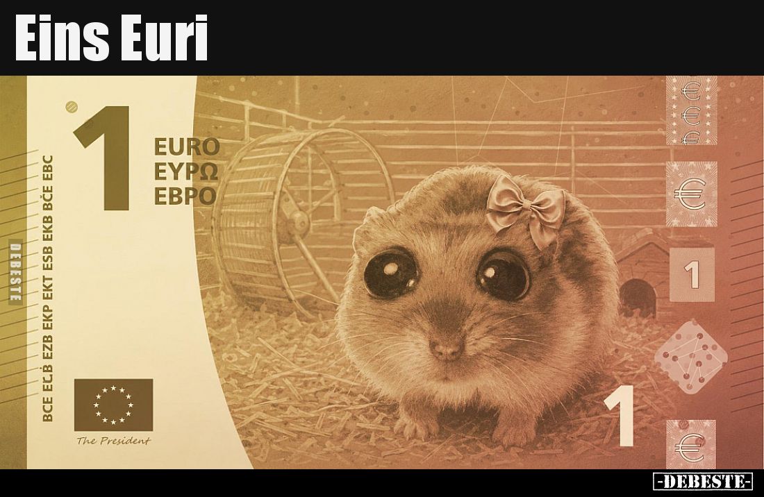 Eins Euri