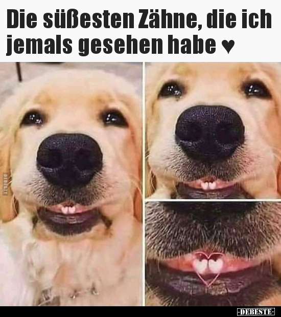 Die süßesten Zähne, die ich jemals gesehen habe ♥..