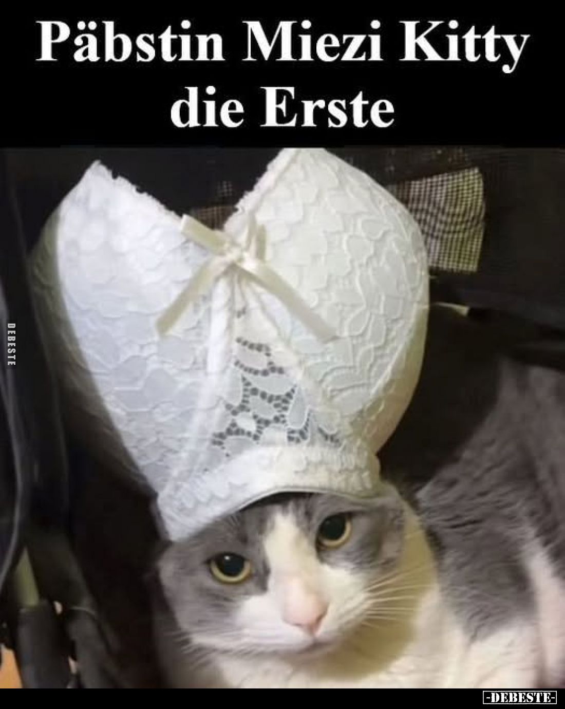 Päbstin Miezi Kitty die Erste.