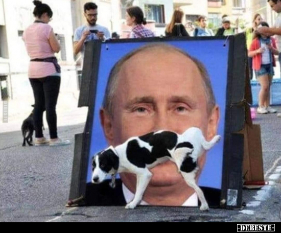  - Lustige Bilder | DEBESTE.de