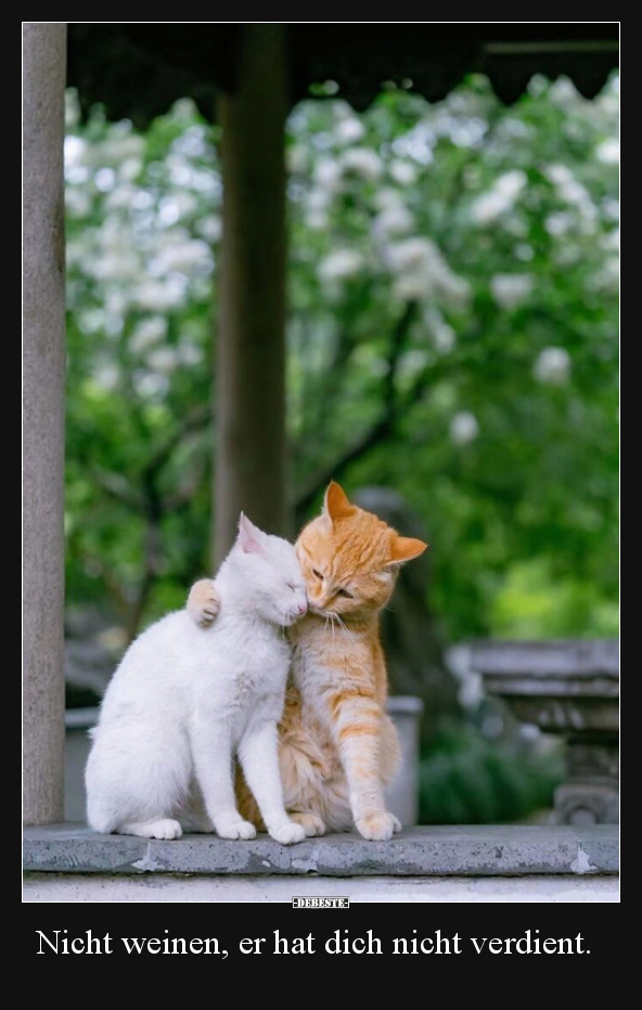 Nicht weinen, er hat dich nicht verdient...