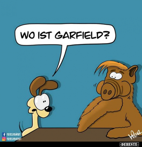 Wo ist Garfield?.. - Lustige Bilder | DEBESTE.de