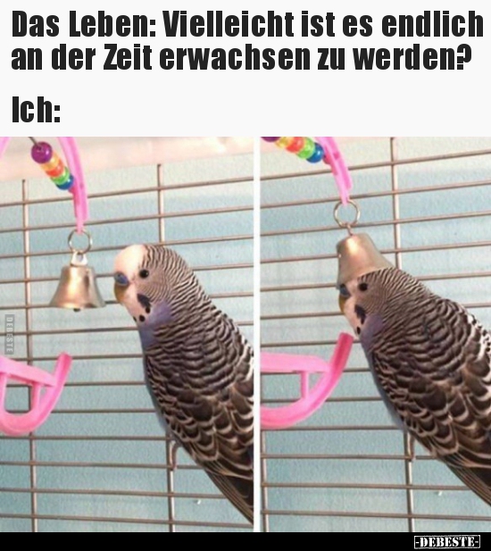Das Leben: Vielleicht ist es endlich an der Zeit erwachsen..