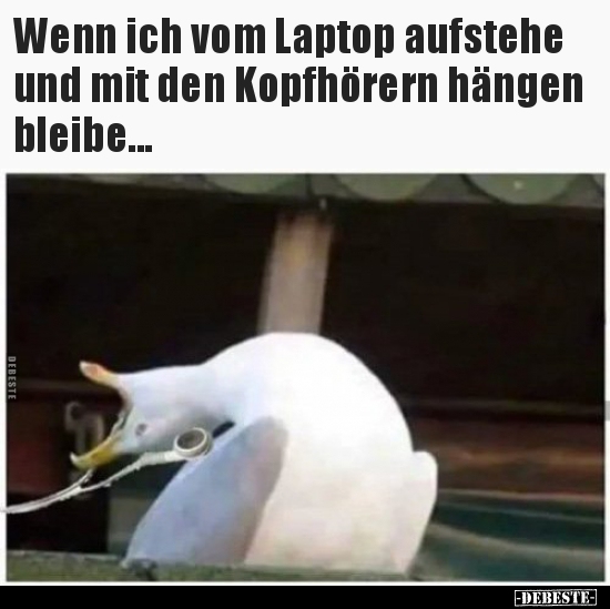 Lustige Bilder zum Thema: Laptop, Kopfhörer