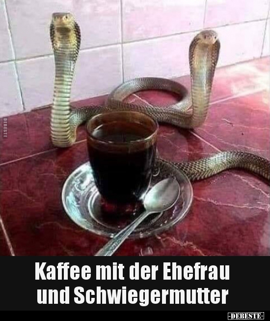 Kaffee mit der Ehefrau und Schwiegermutter.. - Lustige Bilder | DEBESTE.de