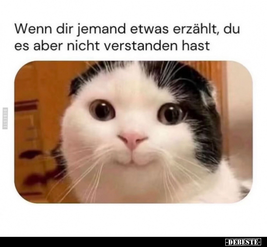 Wenn dir jemand etwas erzählt.. - Lustige Bilder | DEBESTE.de