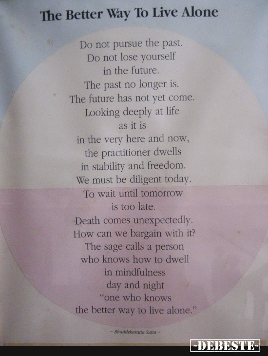 The Better Way To Live Alone - Lustige Bilder | DEBESTE.de