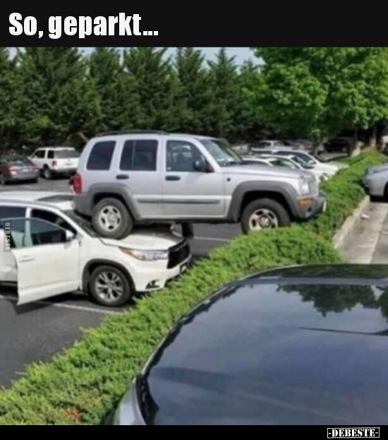 So, geparkt... - Lustige Bilder | DEBESTE.de