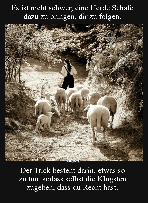Es ist nicht schwer, eine Herde Schafe dazu zu bringen, dir.. - Lustige Bilder | DEBESTE.de