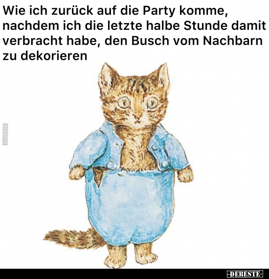 Wie ich zurück auf die Party komme, nachdem ich die letzte.. - Lustige Bilder | DEBESTE.de