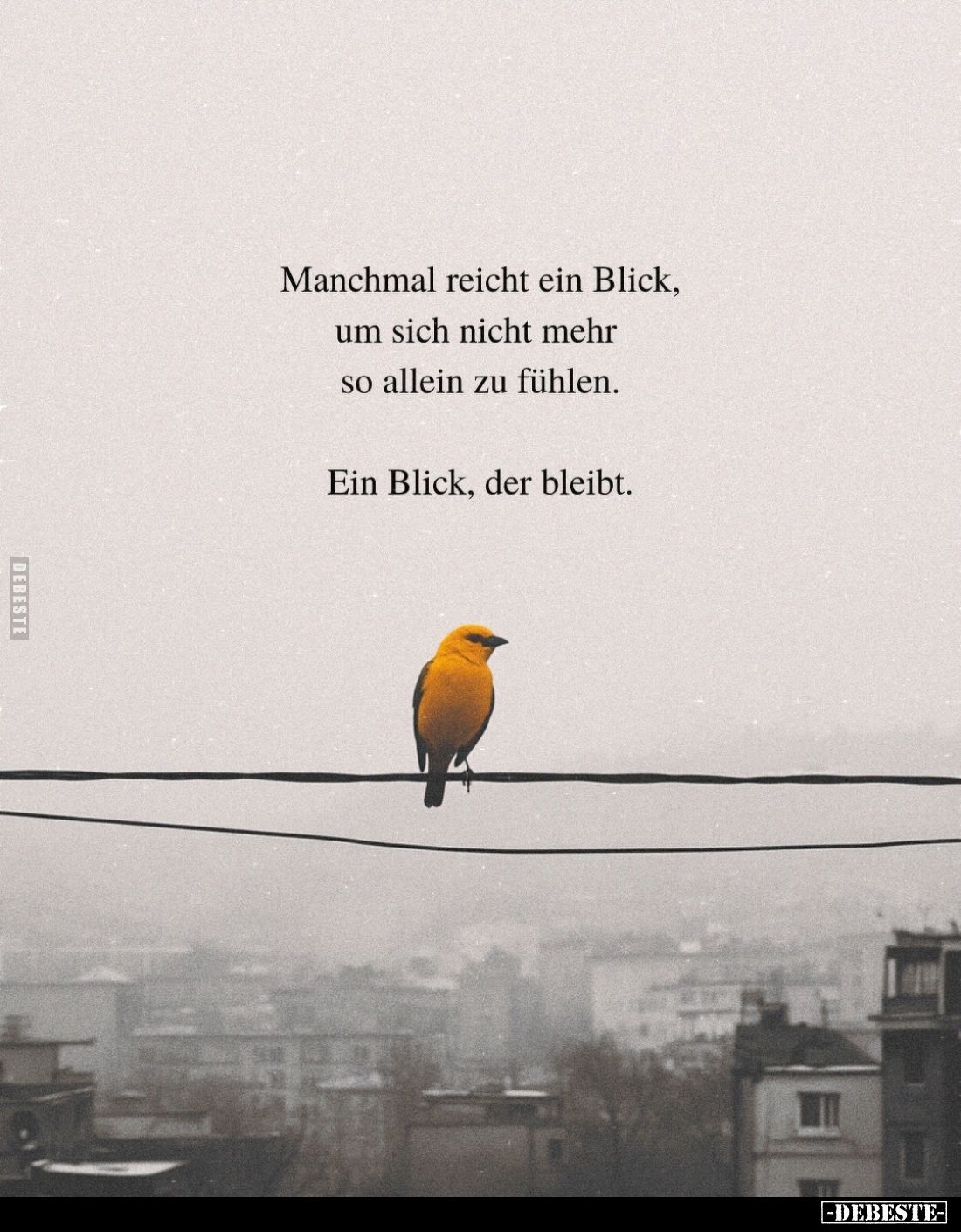 Manchmal reicht ein Blick, um sich nicht mehr so allein zu fühlen.
Ein Blick, der bleibt.