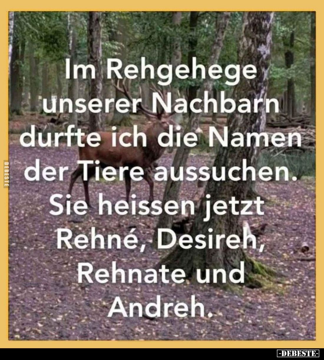 Im Rehgehege unserer Nachbarn... - Lustige Bilder | DEBESTE.de