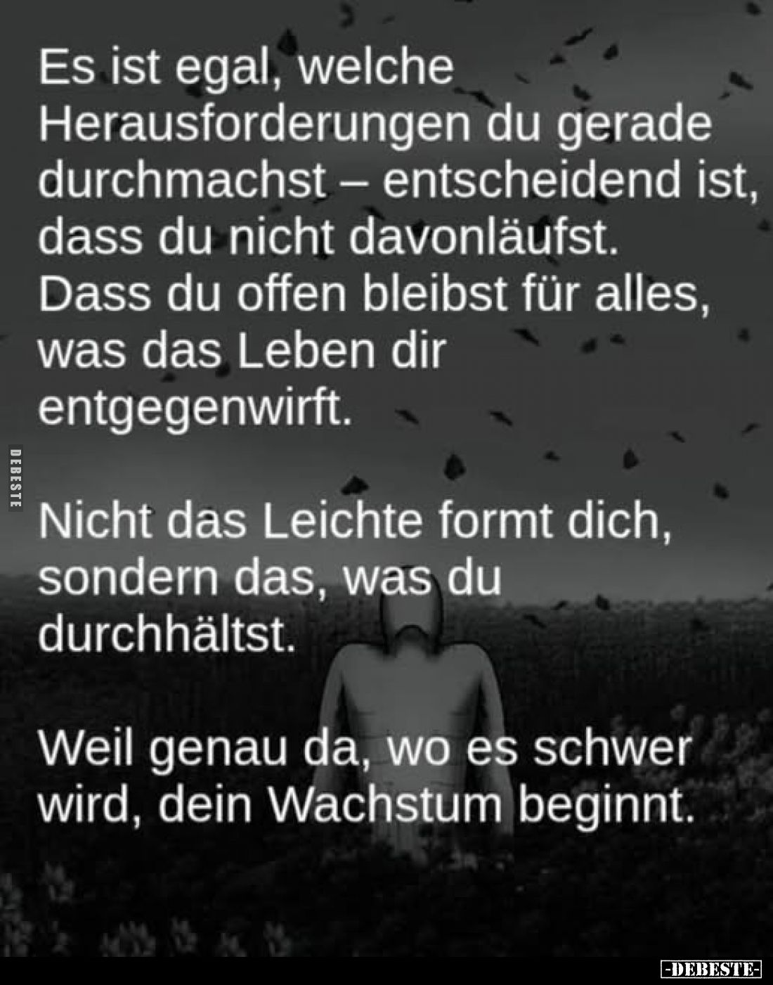 Es ist egal, welche Herausforderungen du gerade durchmachst .. - Lustige Bilder | DEBESTE.de