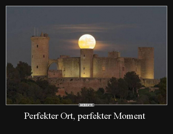 Perfekter Ort, perfekter Moment.. - Lustige Bilder | DEBESTE.de