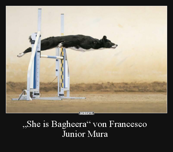 "She is Bagheera" von Francesco Junior Mura.. - Lustige Bilder | DEBESTE.de
