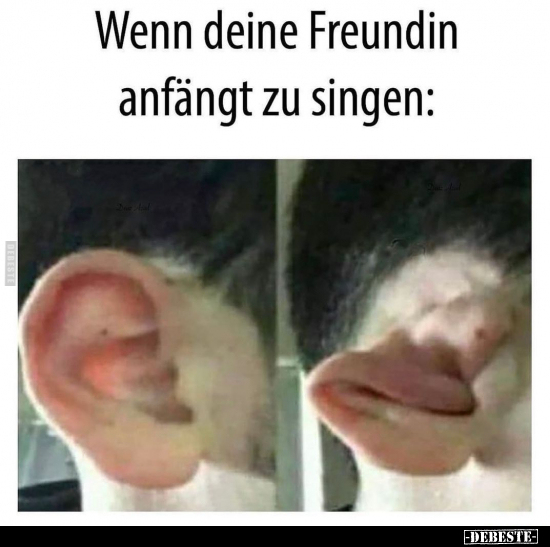 Wenn deine Freundin anfängt zu singen.. - Lustige Bilder | DEBESTE.de