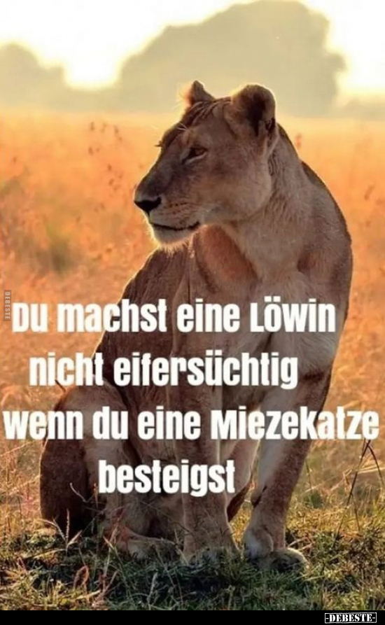 Du machst eine Löwin nicht eifersüchtig, wenn du eine.. - Lustige Bilder | DEBESTE.de