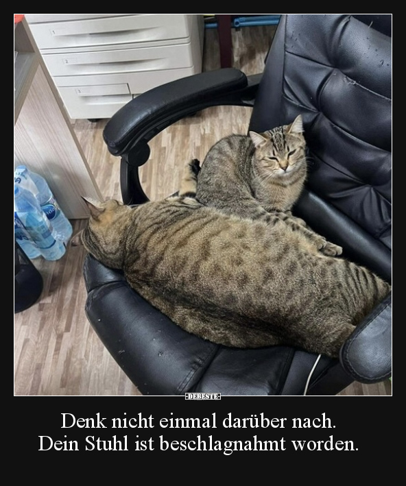 Denk nicht einmal darüber nach. Dein Stuhl ist.. - Lustige Bilder | DEBESTE.de