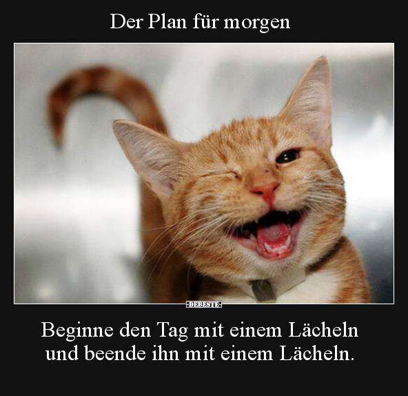 Der Plan für morgen.. - Lustige Bilder | DEBESTE.de