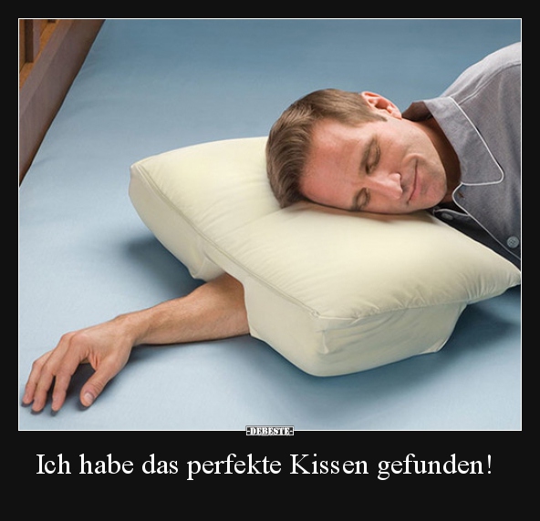 Ich habe das perfekte Kissen gefunden!..