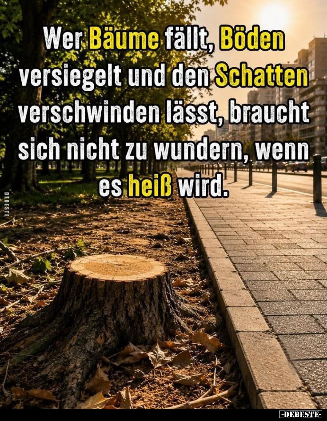 Wer Bäume fällt, Böden versiegelt und den Schatten verschwinden lässt, braucht sich nicht zu wundern, wenn es heiß wird.