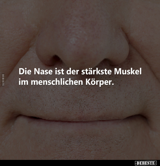 Die Nase ist der stärkste Muskel im menschlichen.. - Lustige Bilder | DEBESTE.de