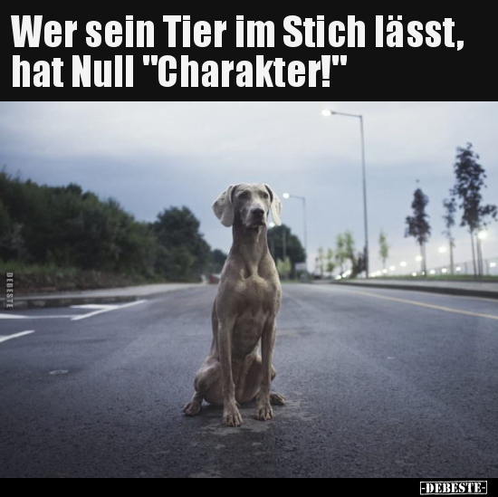 Wer sein Tier im Stich lässt, hat Null "Charakter!".. - Lustige Bilder | DEBESTE.de