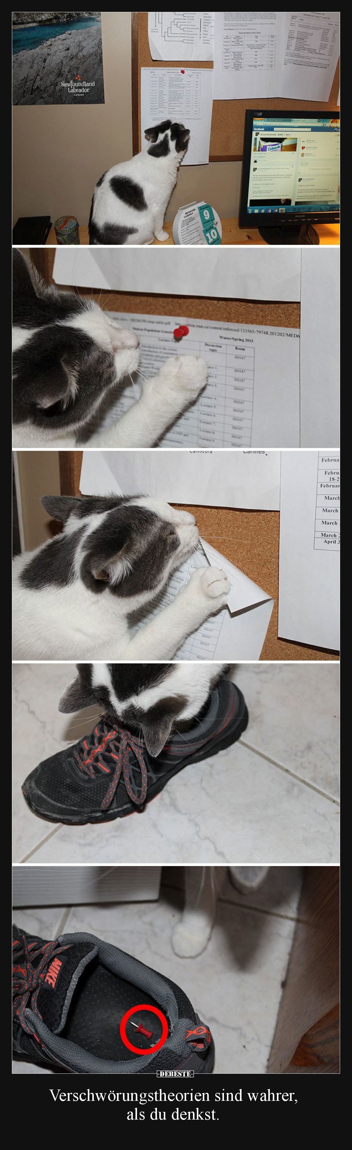 Verschwörungstheorien sind wahrer, als du denkst.