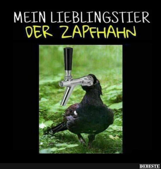 Mein Lieblingstier - der Zapfhahn. - Lustige Bilder | DEBESTE.de