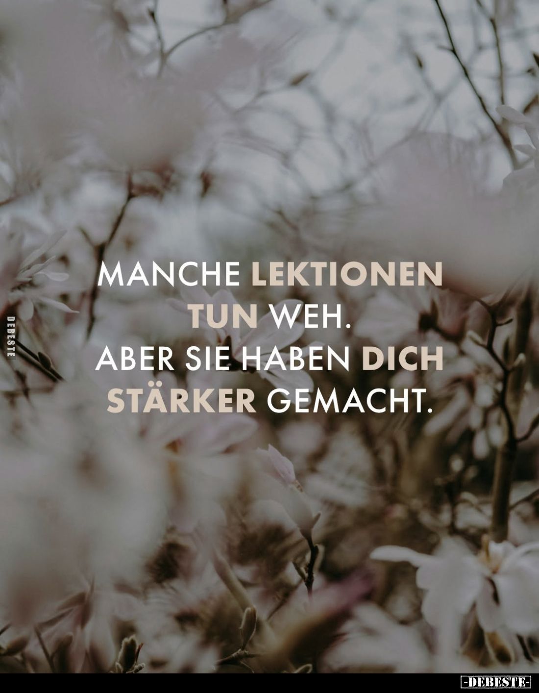 Manche Lektionen tun weh. Aber sie haben dich stärker gemacht.