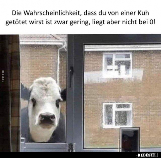 Die Wahrscheinlichkeit, dass du von einer Kuh getötet wirst..