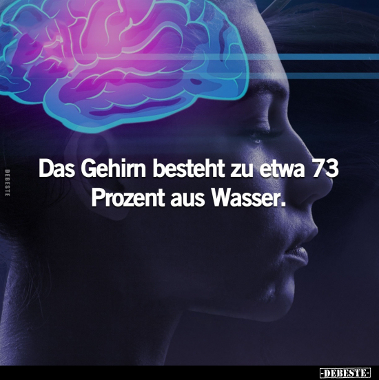 Das Gehirn besteht zu etwa 73 Prozent aus Wasser.. - Lustige Bilder | DEBESTE.de