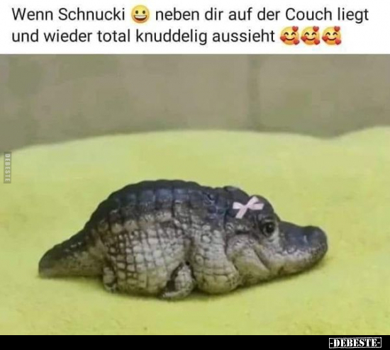 Wenn Schnucki neben dir auf der Couch liegt.. - Lustige Bilder | DEBESTE.de