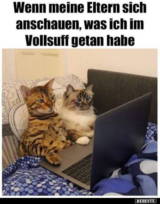 Wenn meine Eltern sich anschauen, was ich im Vollsuff getan.. - Lustige Bilder | DEBESTE.de