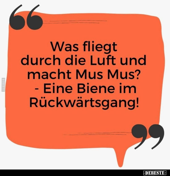 Was fliegt durch die Luft und macht Mus Mus?.. - Lustige Bilder | DEBESTE.de