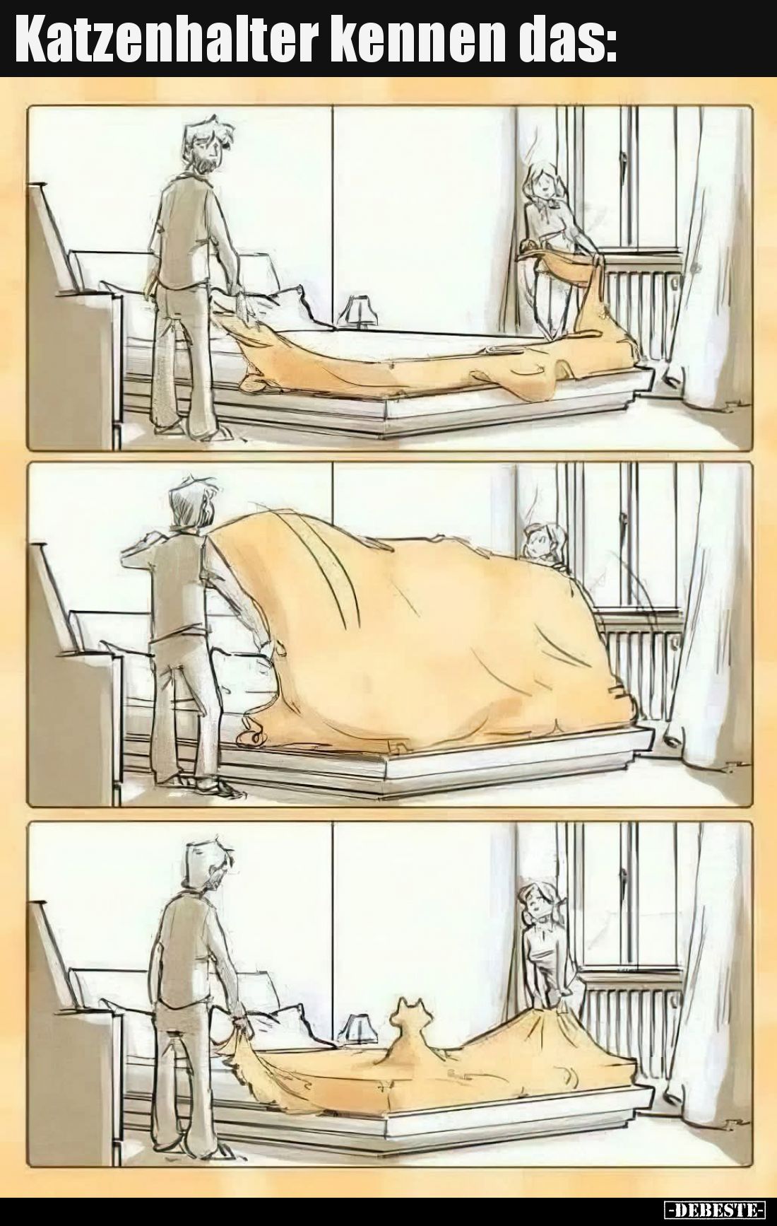 Katzenhalter kennen das: